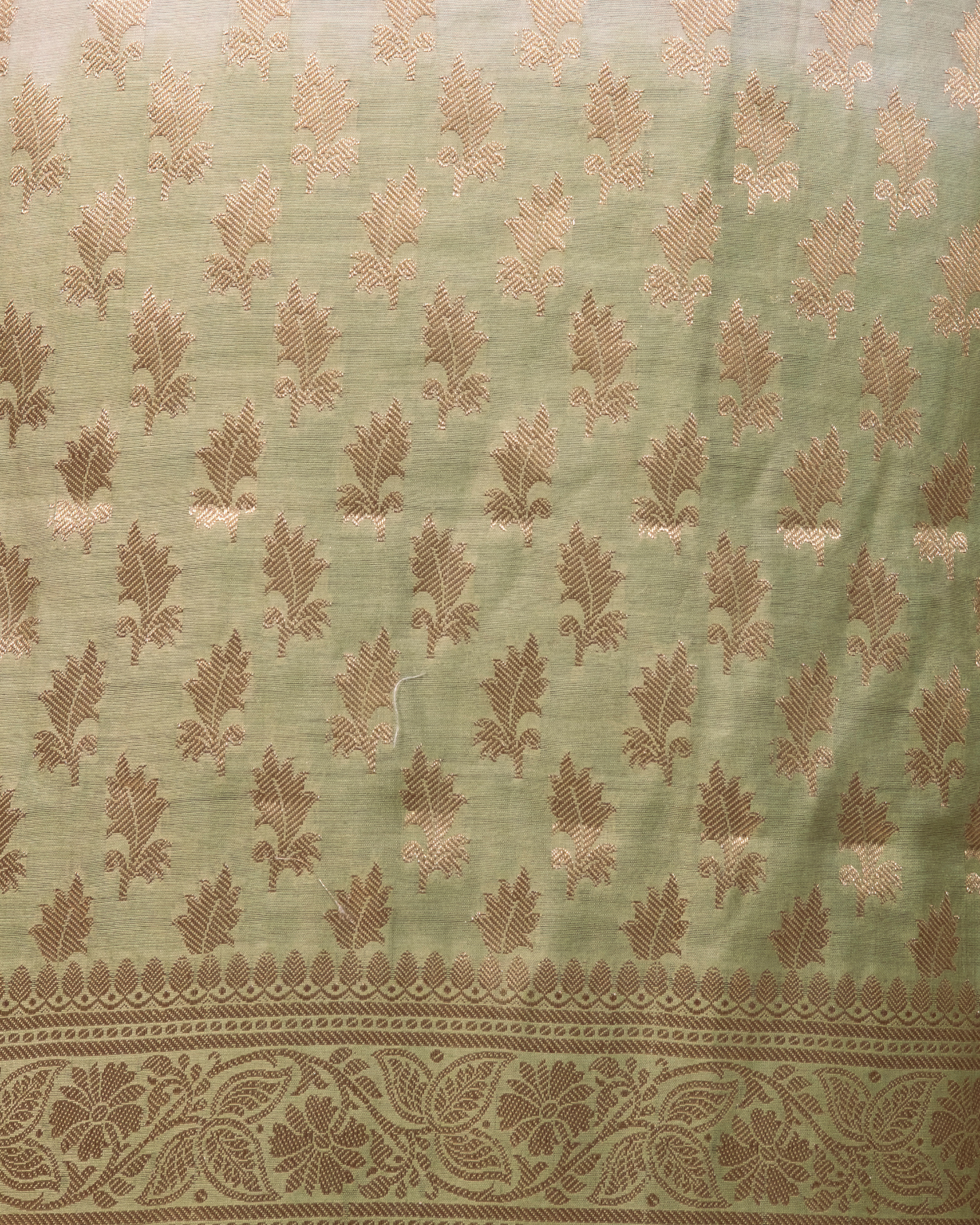 Cream & Green Banarasi Chiniya Silk 3-Piece Suit Set with Ombre Shading