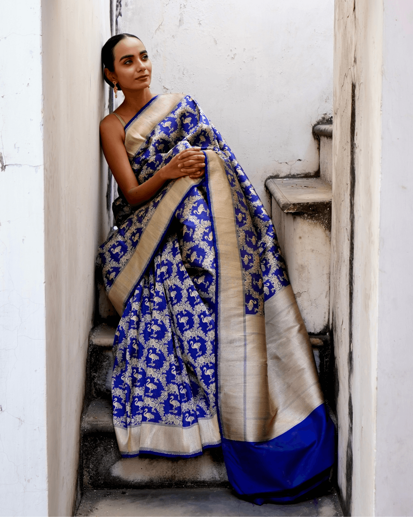 Malvika - Blue Pure Banarasi Katan Silk Saree With Swan Motifs